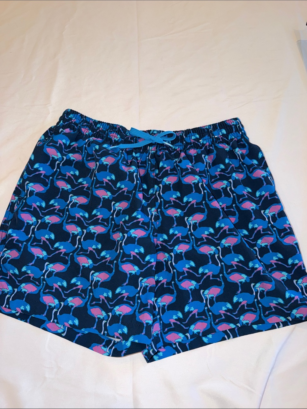 T0209203 CHUBBIES Blue Pink Ostrich 5.5" Swim Trunks Shorts Mesh Liner Men SZ S